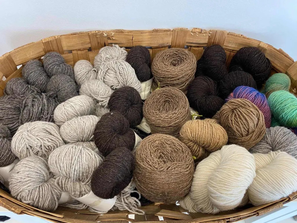 Langat Maailma -Langat Maailma 74840f3d 419f 46b2 8e52 50d897caac71