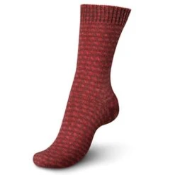 Regia 4-ply Color -sukkalanka 100g -Langat Maailma regia 4 punainen 1