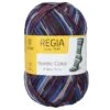 Regia Nordic Color 8-ply -sukkalanka 150g -Langat Maailma regia 8 nordic 08121 1